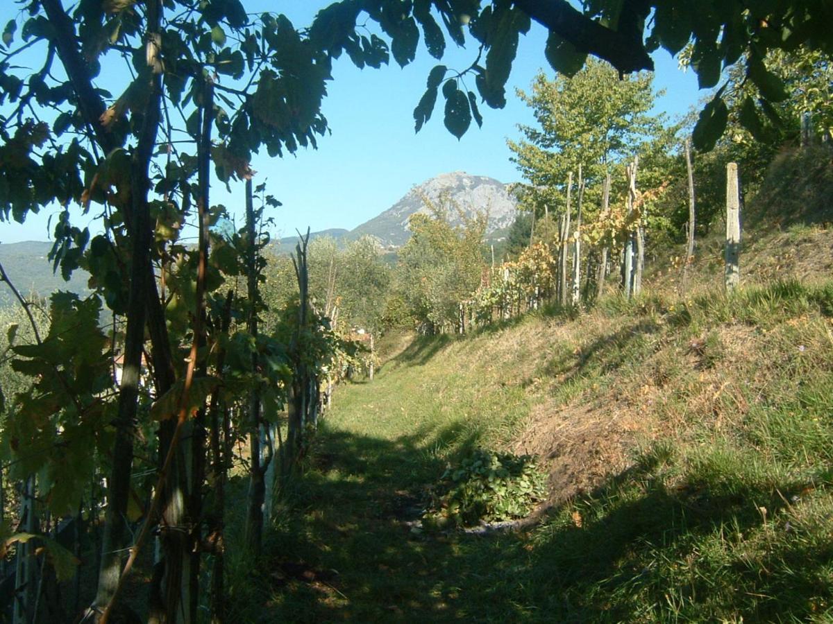 Il Casale Di Rolando Lejlighed Castiglione di Garfagnana Eksteriør billede