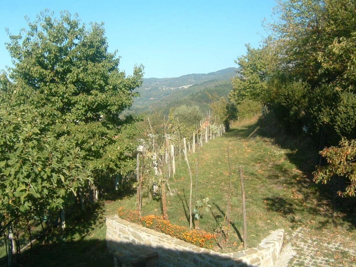 Il Casale Di Rolando Lejlighed Castiglione di Garfagnana Eksteriør billede