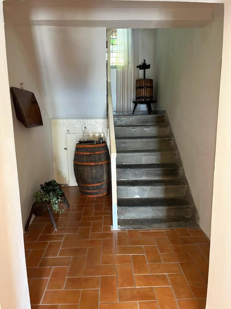 Il Casale Di Rolando Lejlighed Castiglione di Garfagnana Eksteriør billede